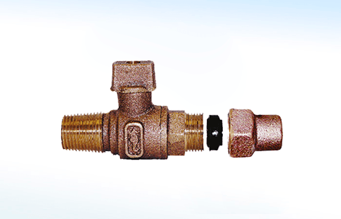 Válvula Insercion 81-EC — Rugo